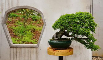 詩(shī)城人家 馬鞍山園林藝術(shù)的一顆璀璨明珠