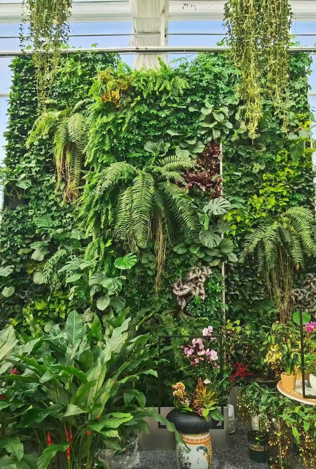 浙江綠墻植物工廠批發(fā) 引領(lǐng)現(xiàn)代景觀工程的綠色新風(fēng)尚